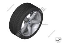 Winter wheel w.tyre star spoke 290  17