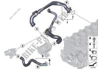 Cooling System Water Hoses for BMW M235i 2014